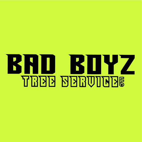 Bad Boyz Tree Service