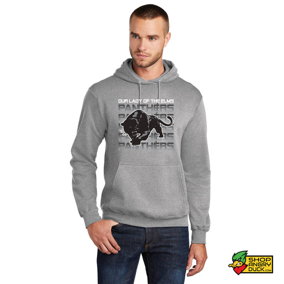 Panthers Hoodie Sweatshirt 3