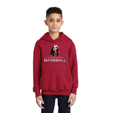 Arcadia Baseball Youth Hoodie
