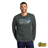 Notre Dame College Falcons Softball Nike Legend Crewneck